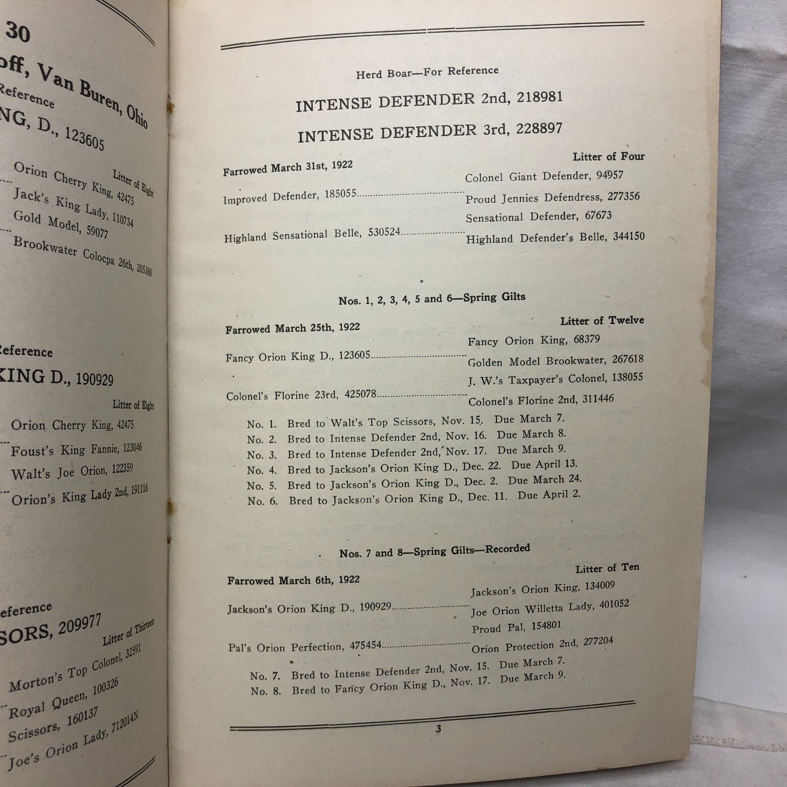 Vintage 1923 45-Duroc-45 Bred Sows Sale Booklet