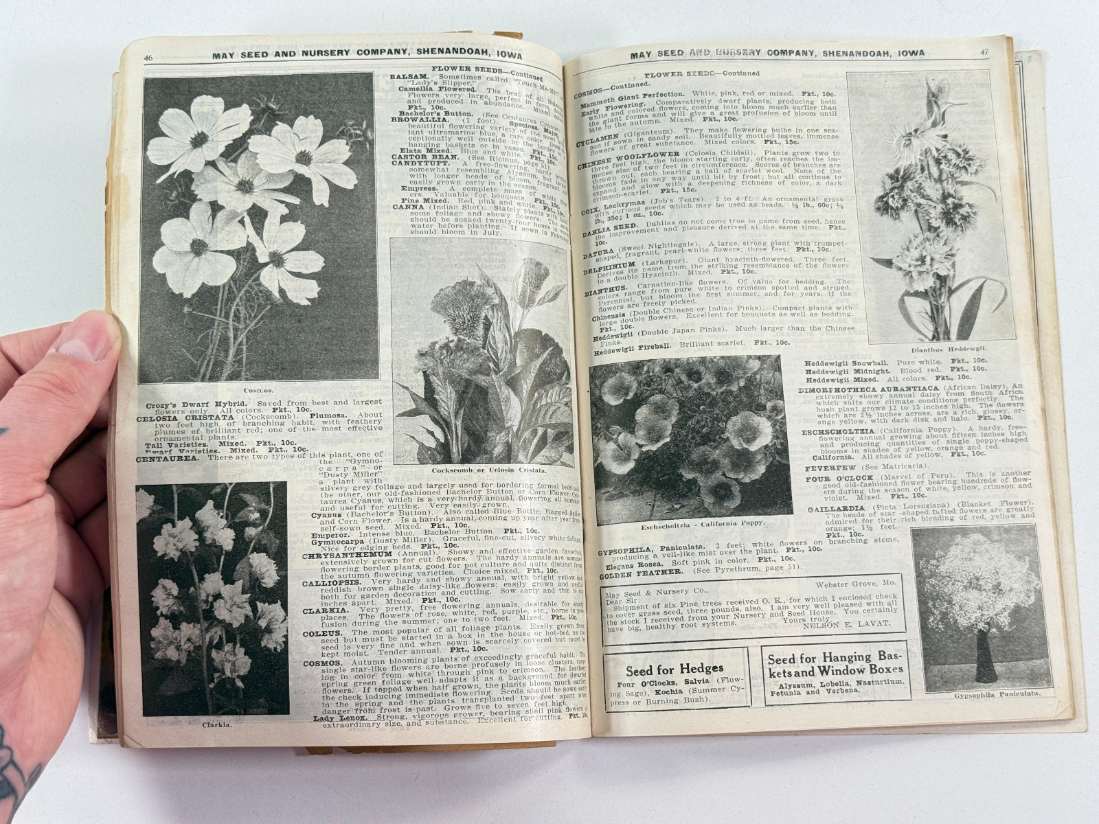 1924 May Seed Advertising Catalog Shenandoah Iowa IA