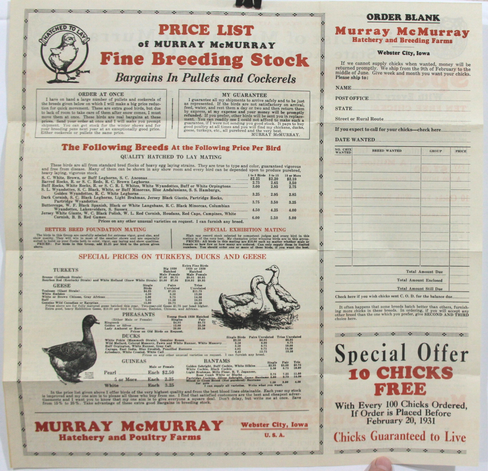 Murray McMurray Baby Chicks Hatchery Mail Order Forms 1931 Webster City IA