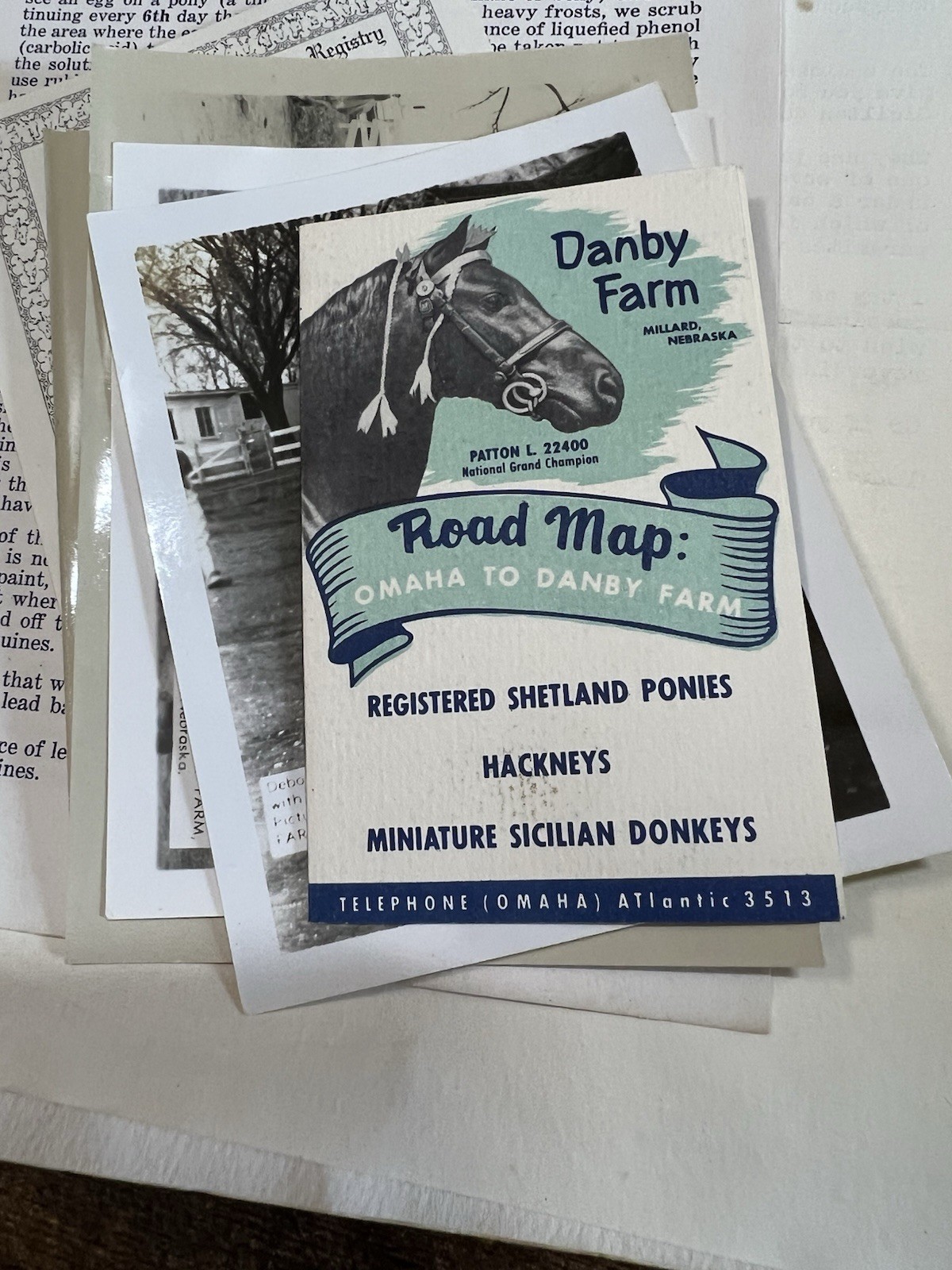 1961 Danby Farm Miniature Donkey Brochure Photo Letter Ephemera Lot