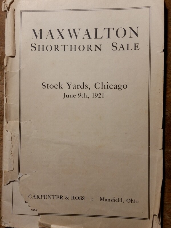 1921 Shorthorn Cattle Auction Catalog Stock Yards Chicago Carpenter & Ross OH