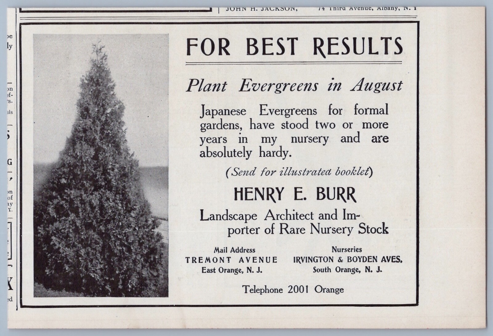 1906 Henry E Burr Vintage Ad Nursery Lanscape Architect Japanese Evergreens NJ