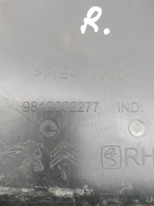 Citroën C3 III 2019 Lower Left Side B Pillar Trim 9812002277