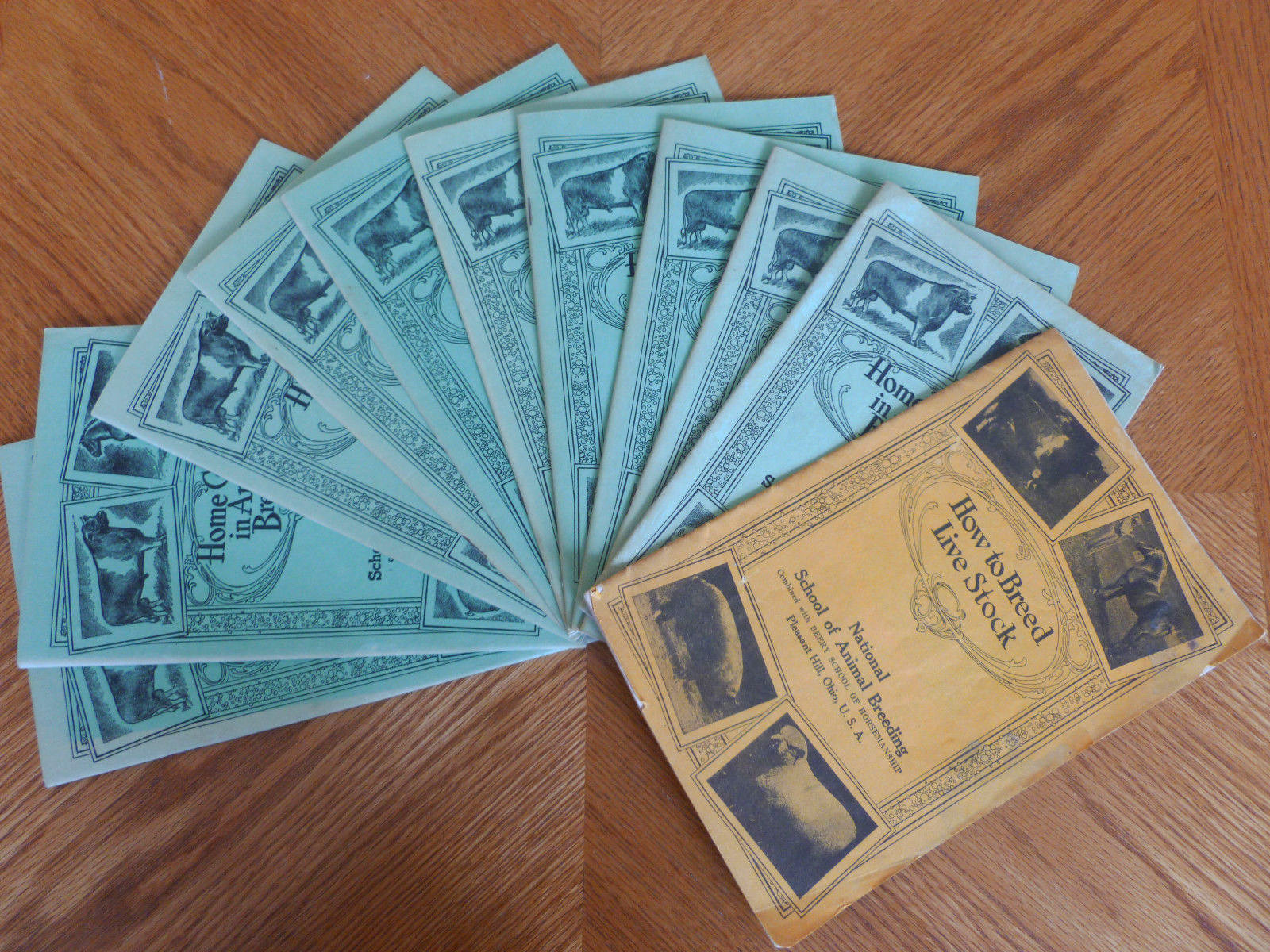 Home Course in Animal Breeding Set of 10 Lessons 1944