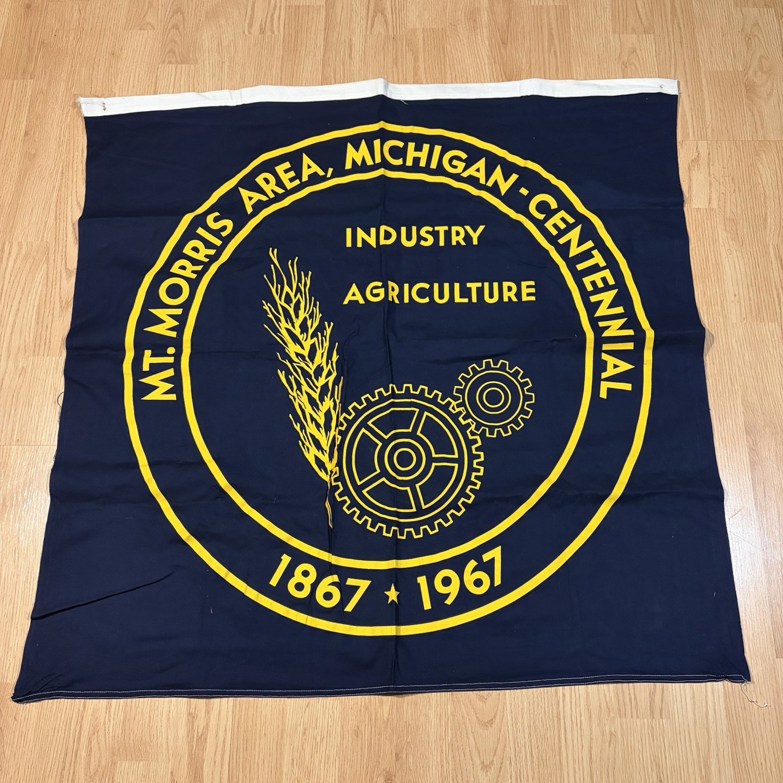 Vintage 1960s MT Morris Michigan Centennial Industry Agriculture Flag Banner 3ft