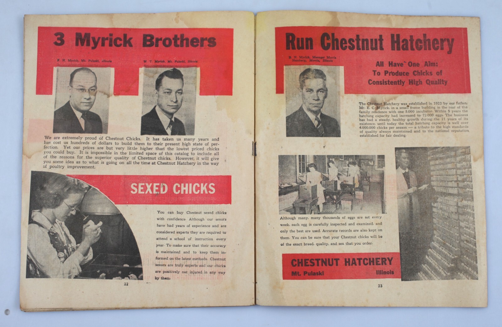Vintage Newsprint Mailer Chestnut Hatchery Chicken Catalog Mt. Pulaski Illinois