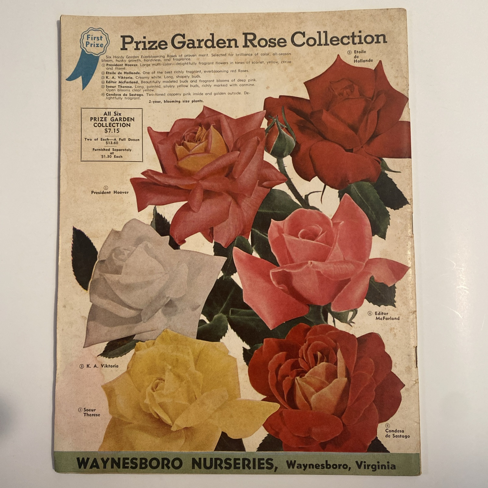 1952 VINTAGE WAYNESBORO NURSERIES FLOWER FRUIT SEED PLANTING CATALOG 48 Pgs