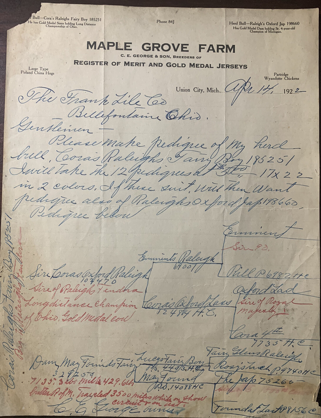 Union City Mich Advertising Letter Maple Grove Farm JerseyCattle Breeder Antique