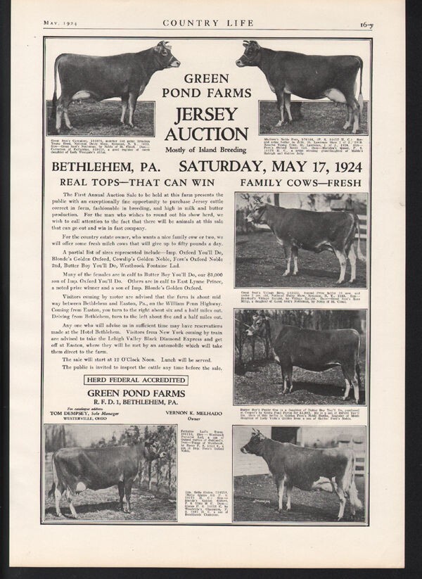 1924 GREEN POND COW JERSEY FARM BREEDER SALE SIRE MILK AUCTION BETHLEHEM 21740X