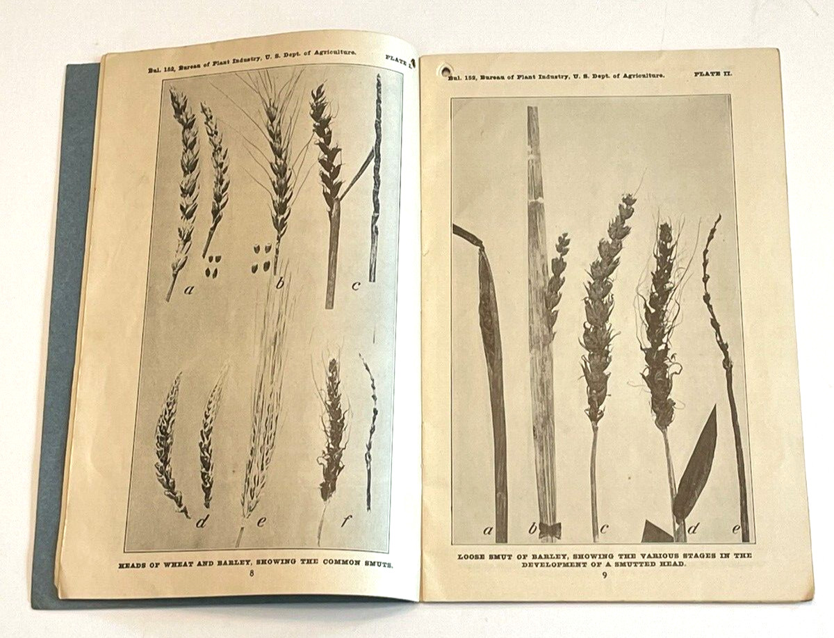 Formaldehyde the Farmer’s Friend 1916 Perth Amboy Agricultural Advertising Book