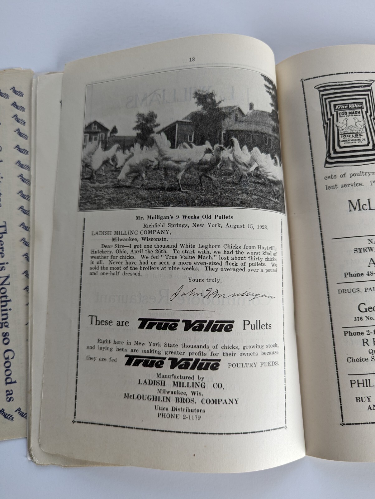 1928 Greater Utica NY Poultry Show Farm Advertising Book Entry Forms