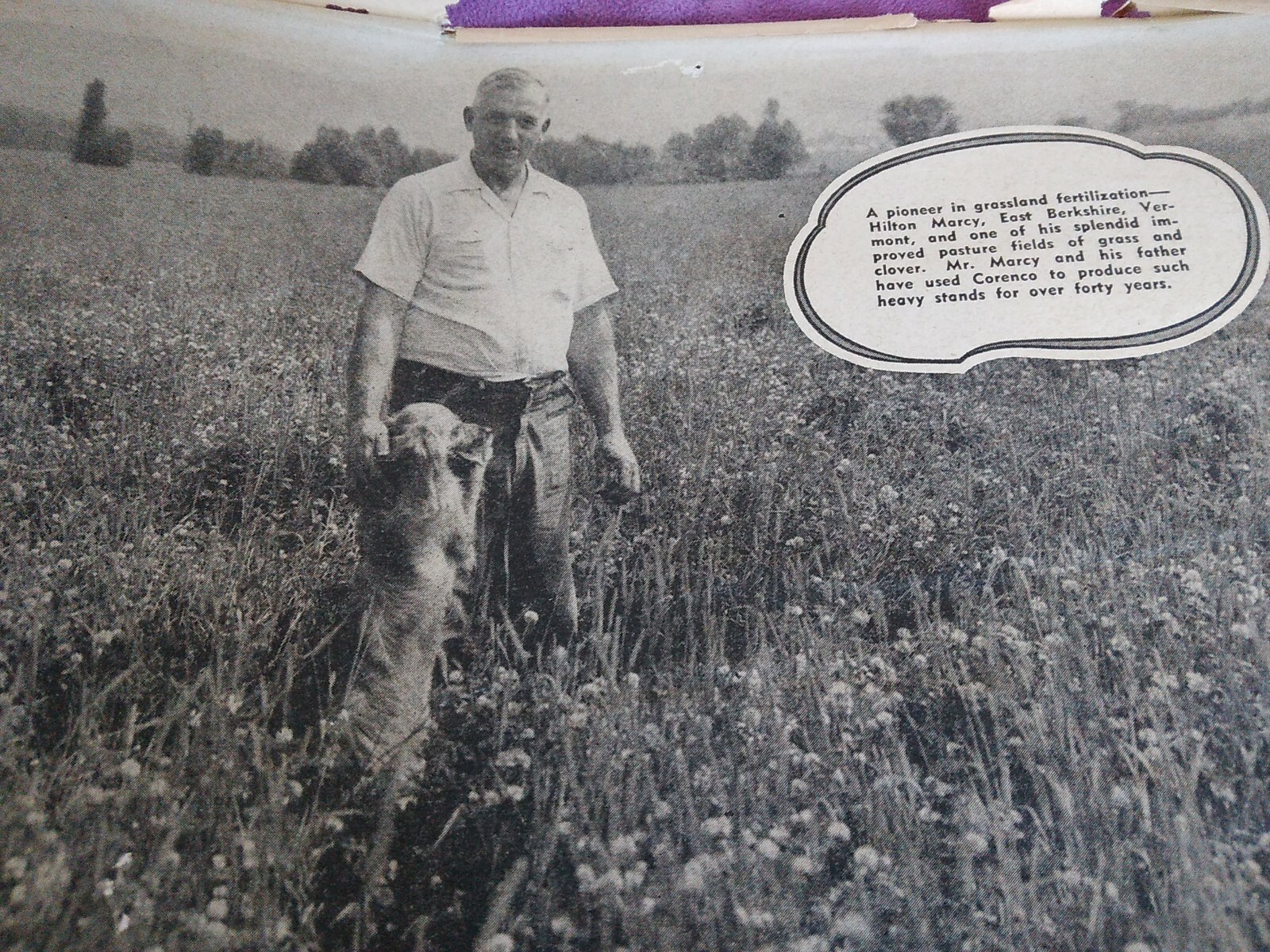Vtg CORENCO FERTILIZERS Paper advertising Crops Hilton Marcy Vermont 1920&rsquo;s B2