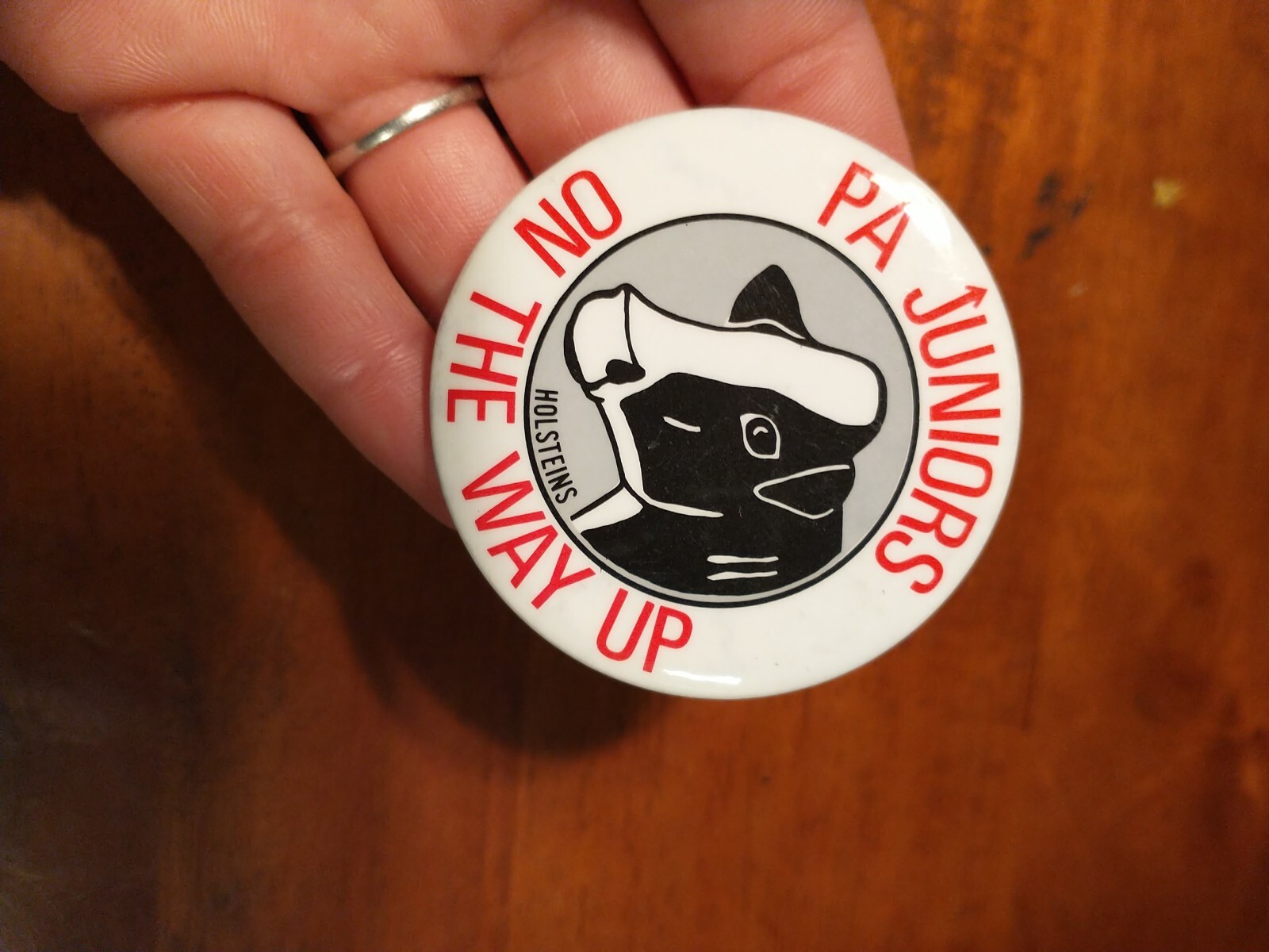 Vintage pinback button PA Juniors On The Way Up Holsteins pin black white red