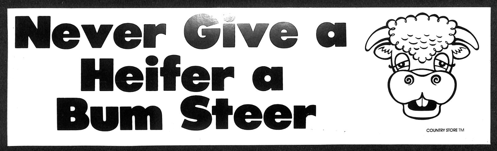 « Never Give a Heifer a Bum Steer » Cow Face Funny Farming Bumper Sticker VGC