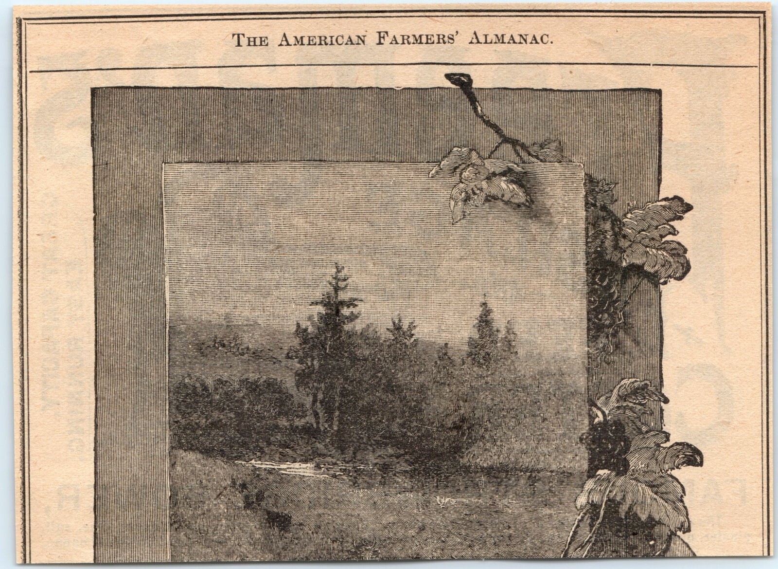 Vtg 1890 Freeman Sons Ensilage Feed Cutter Print Ad Racine WI Strowbridge Sower
