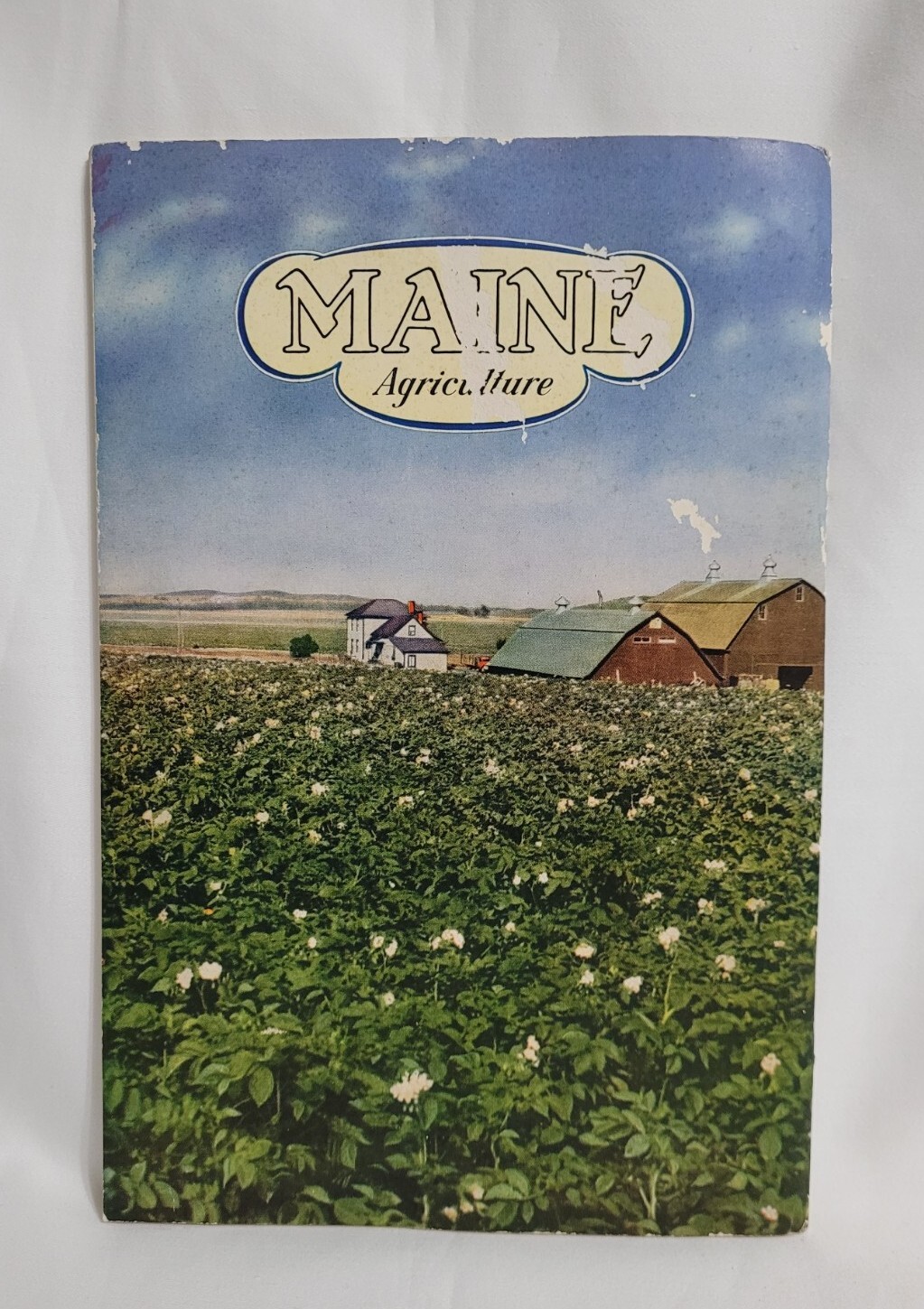 Vintage Maine Agriculture Booklet Cattle Corn Fruit Chickens Farming Ephemera