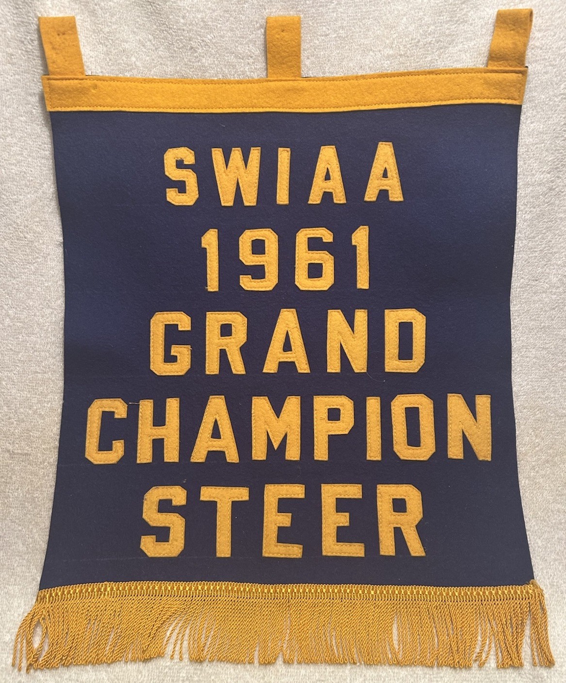 Vtg Banner Southwestern Indiana Angus Association 1961 Champion Steer 14X23 OOAK