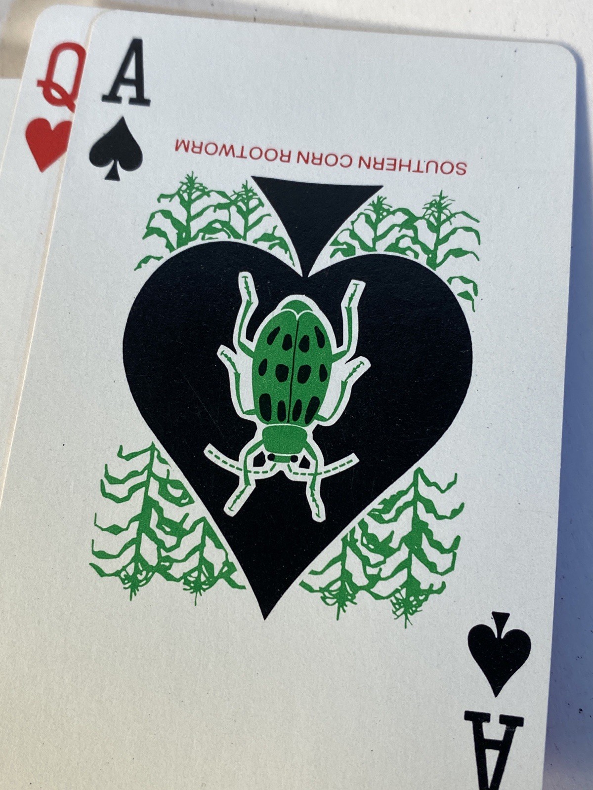 Vintage FURADAN INSECTICIDE Farming Promo Merch Playing Cards Advertising