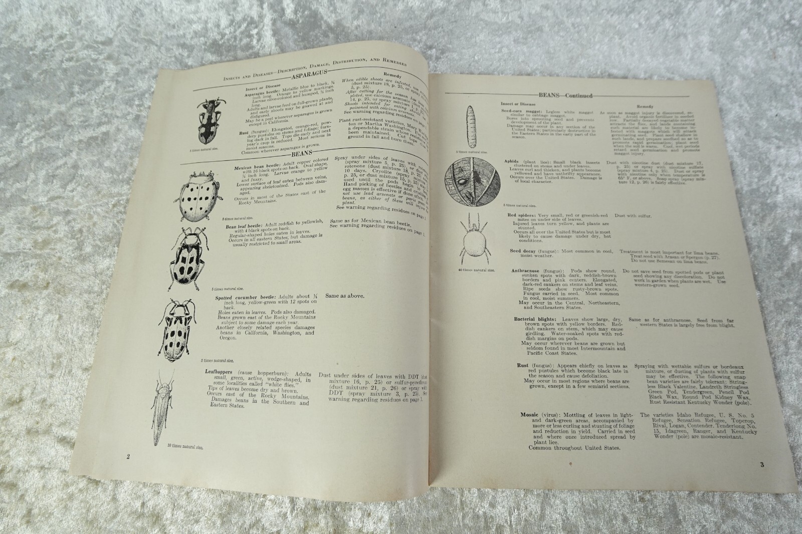 3 Vintage 1953, &rsquo;55 Vegetable Flower Gardener Handbooks Park Seed Catalog 1976