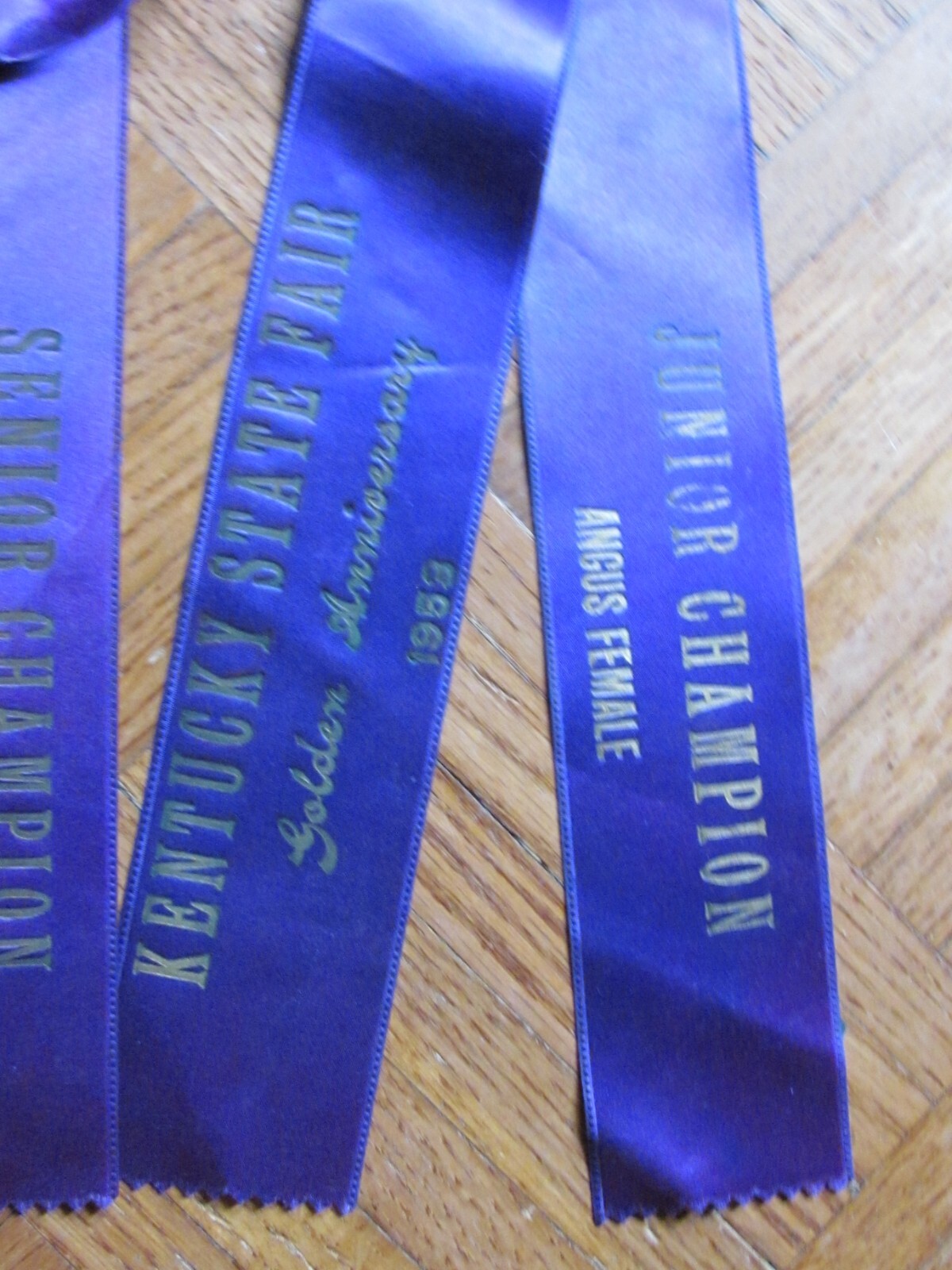 1953 FARM AWARD ANGUS BEEF CATTLE 3 ROSETTE RIBBON KENTUCKY STATE FAIR GOLDEN