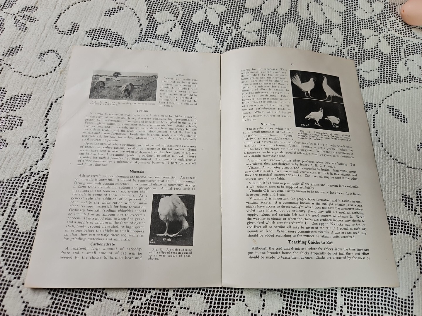 1936 Brooding Feeding & Growing Chicks Iowa State College Ames Iowa Ag Brochure