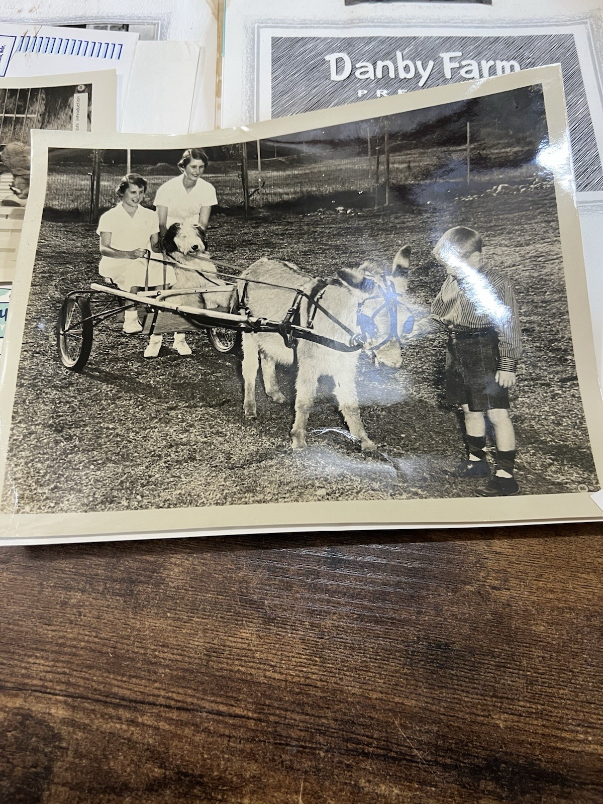 1961 Danby Farm Miniature Donkey Brochure Photo Letter Ephemera Lot