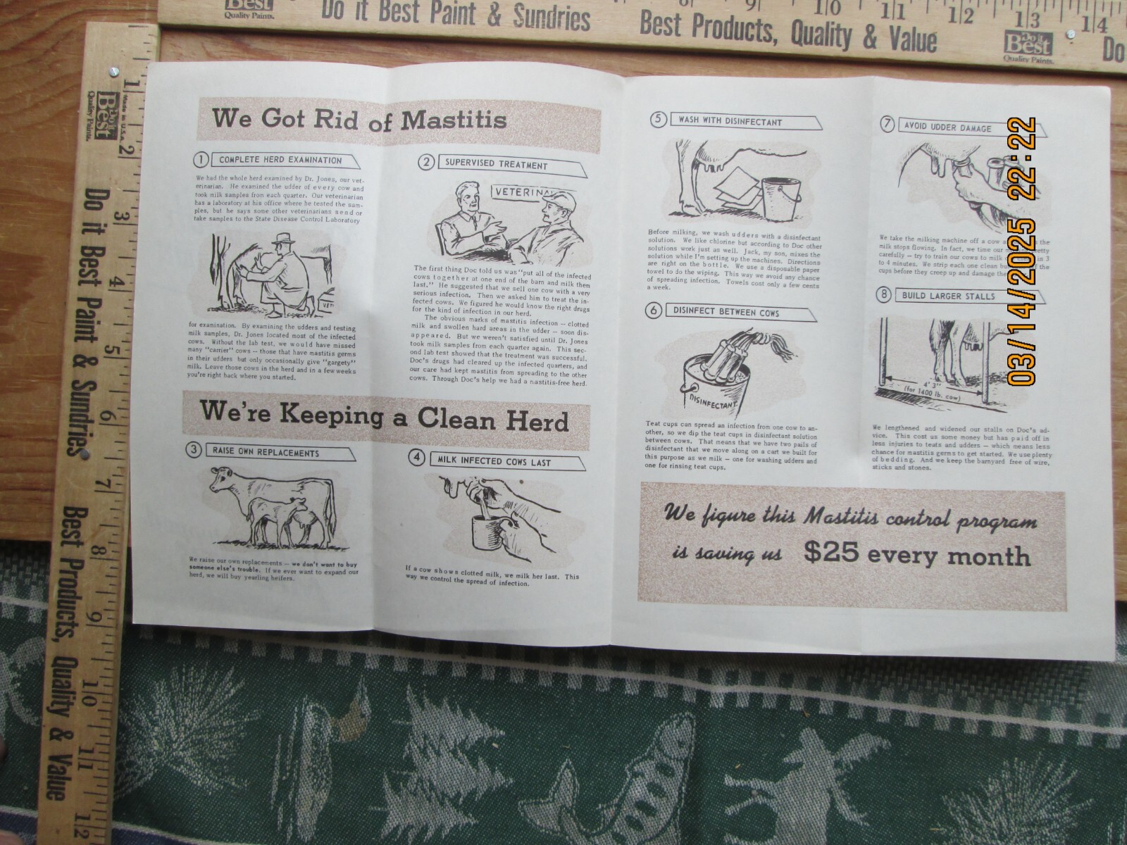 before we stop mastitis in milk cows university of Wis brochure 1955