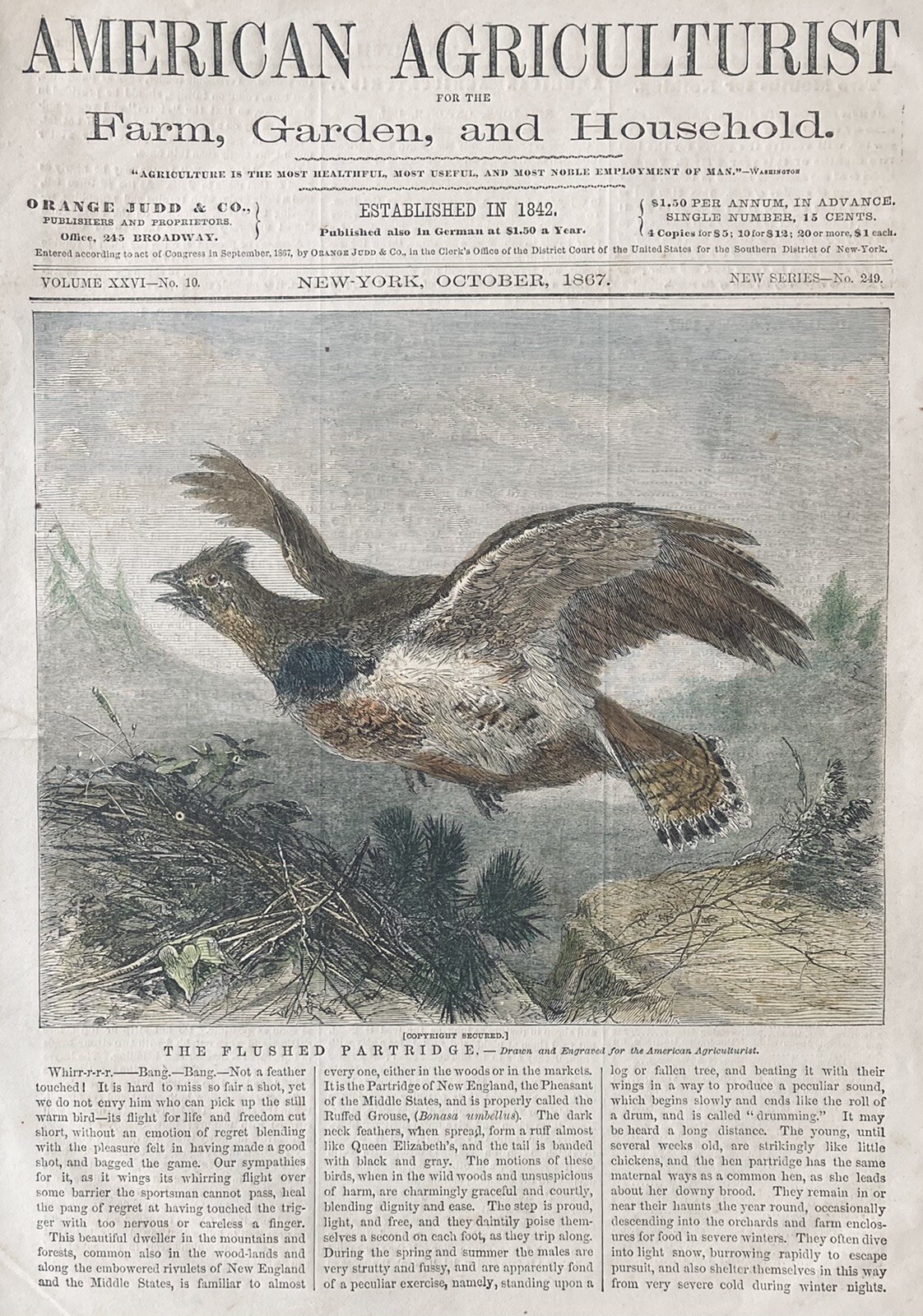 1867 AD(XH6)~AMERICAN AGRICULTURIST MAGAZINE COVER(ONLY)~THE FLUSHED PARTRIDGE