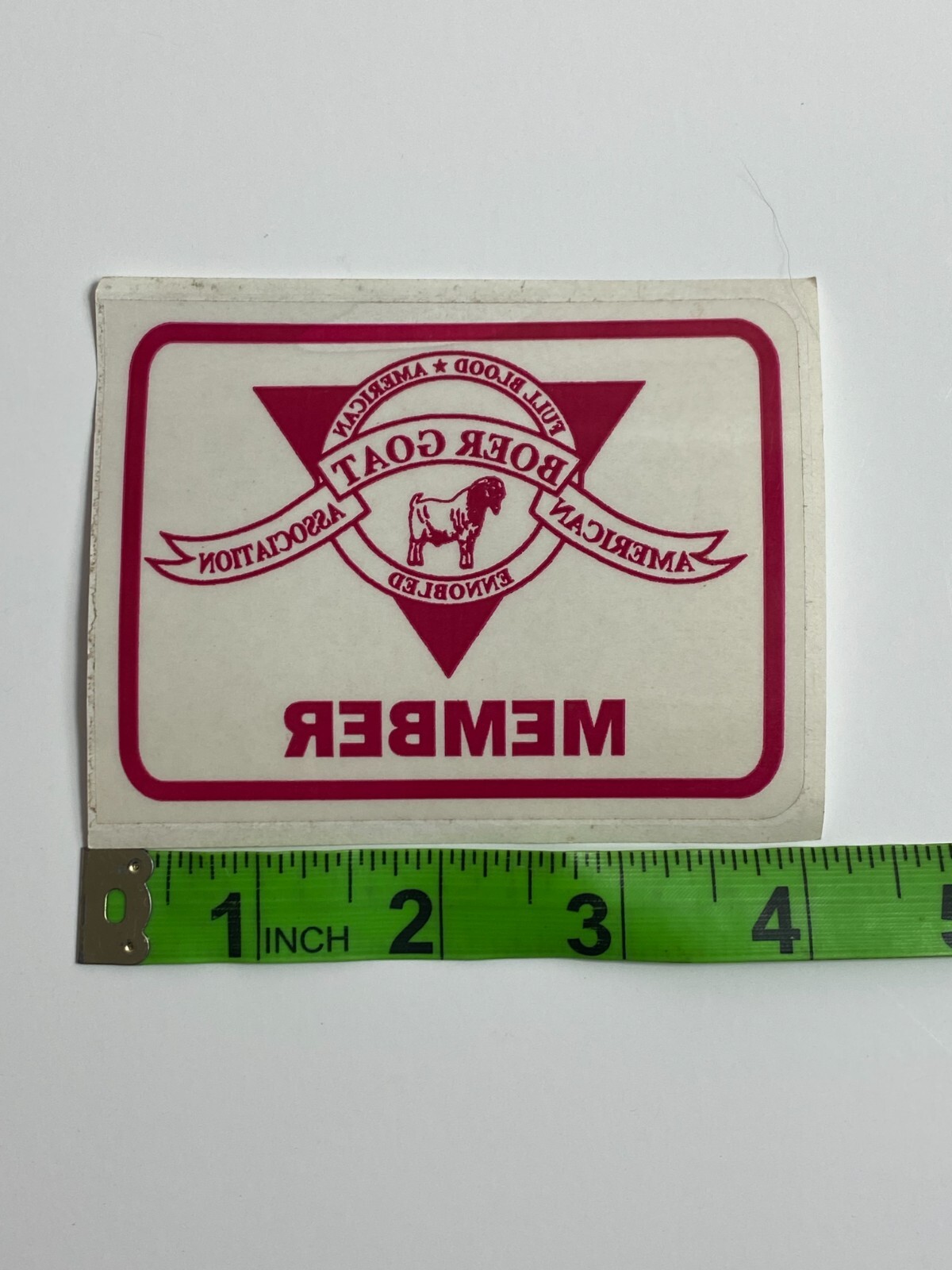 MEMBER American Boer Goat Association Full Blood Window Decal Sticker Livestock