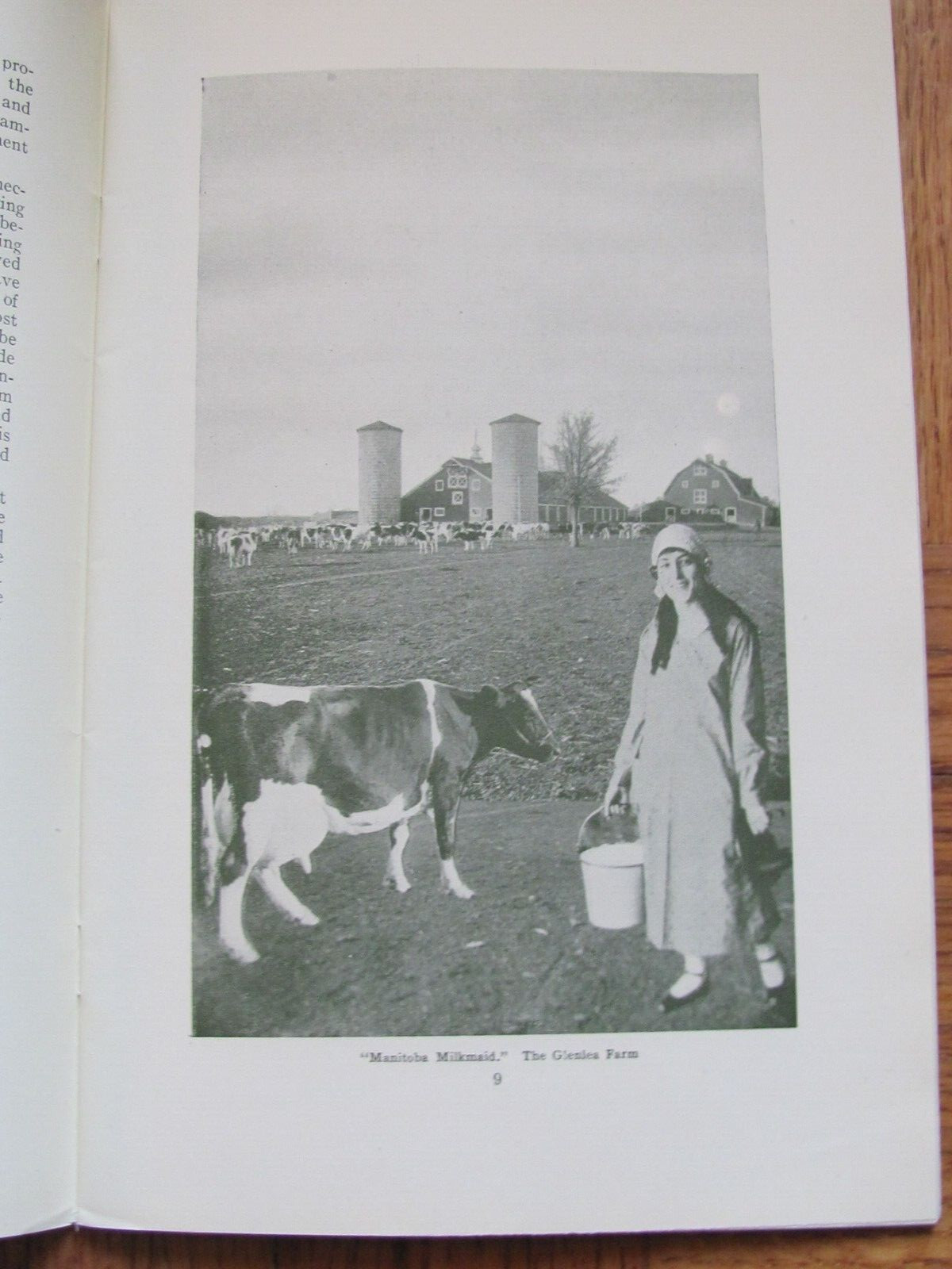 1917 FARMING BOOKLET LIVESTOCK RAISING IN MANITOBA CANADA IMMIGRATION DEPT