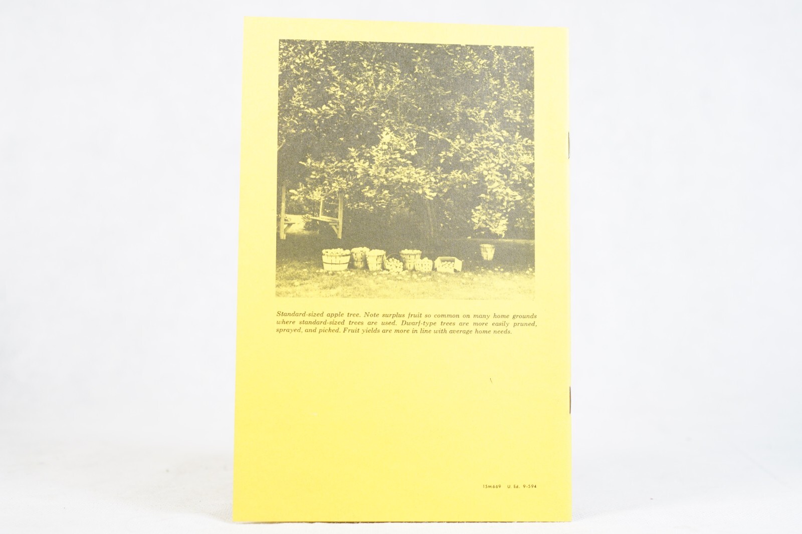 PA State University Tree Fruits for Home Gardener Circular 543 Vintage Brochure