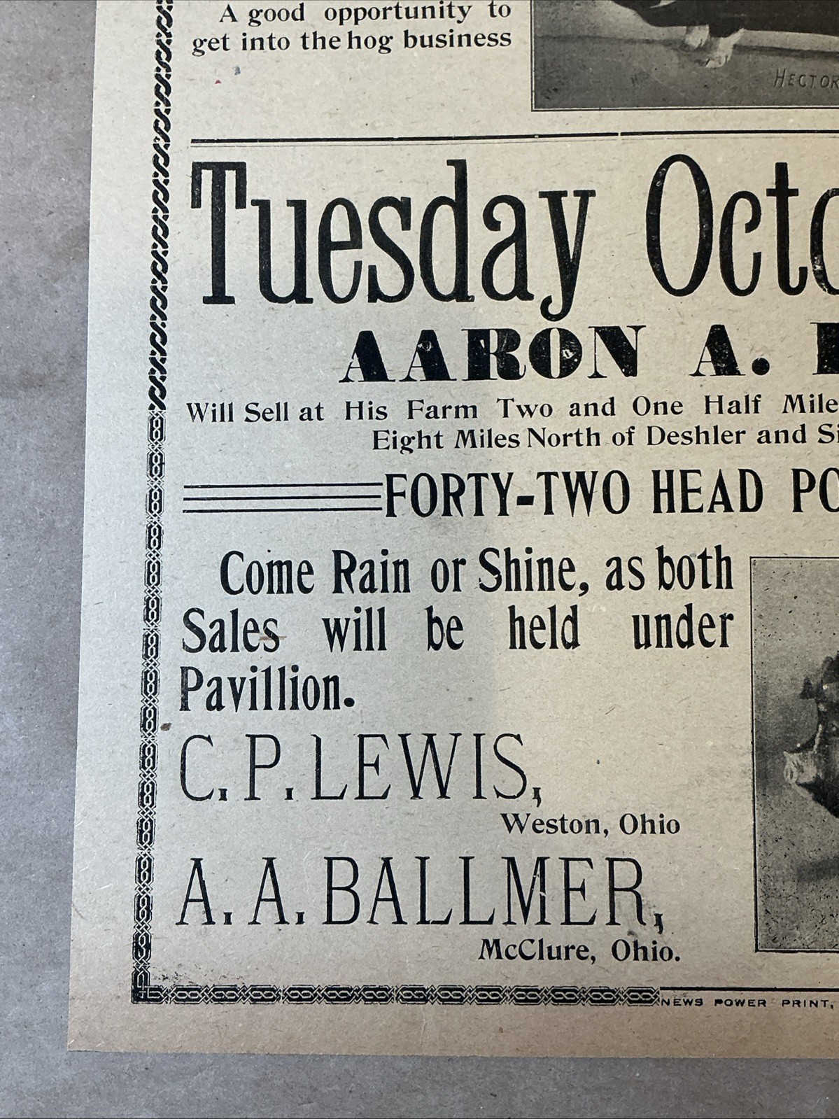 Antique 1911 Original Auction Poster China Hog Public Sale Ohio As Is INV-AC07Z