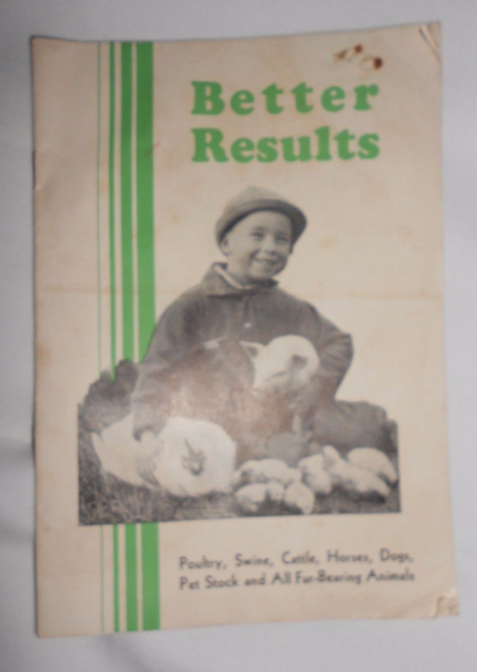 Vtg 1930 Northwestern Yeast Co Chicago Farm Advertising Chickens Pigs Booklet