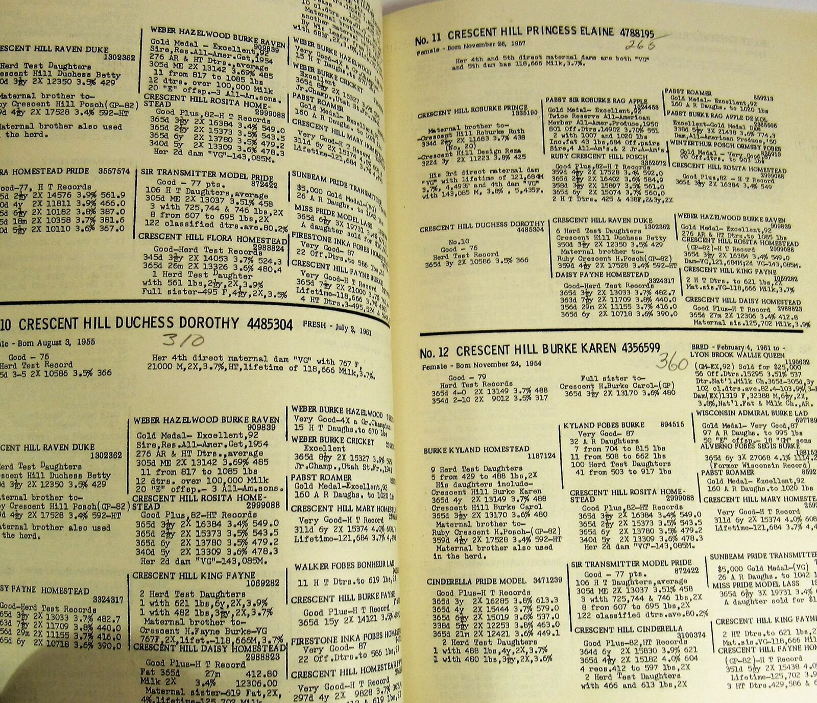 1961 Klooz Bros. Registered Holstein Dispersal Sullivan Ohio Auction Program VTG