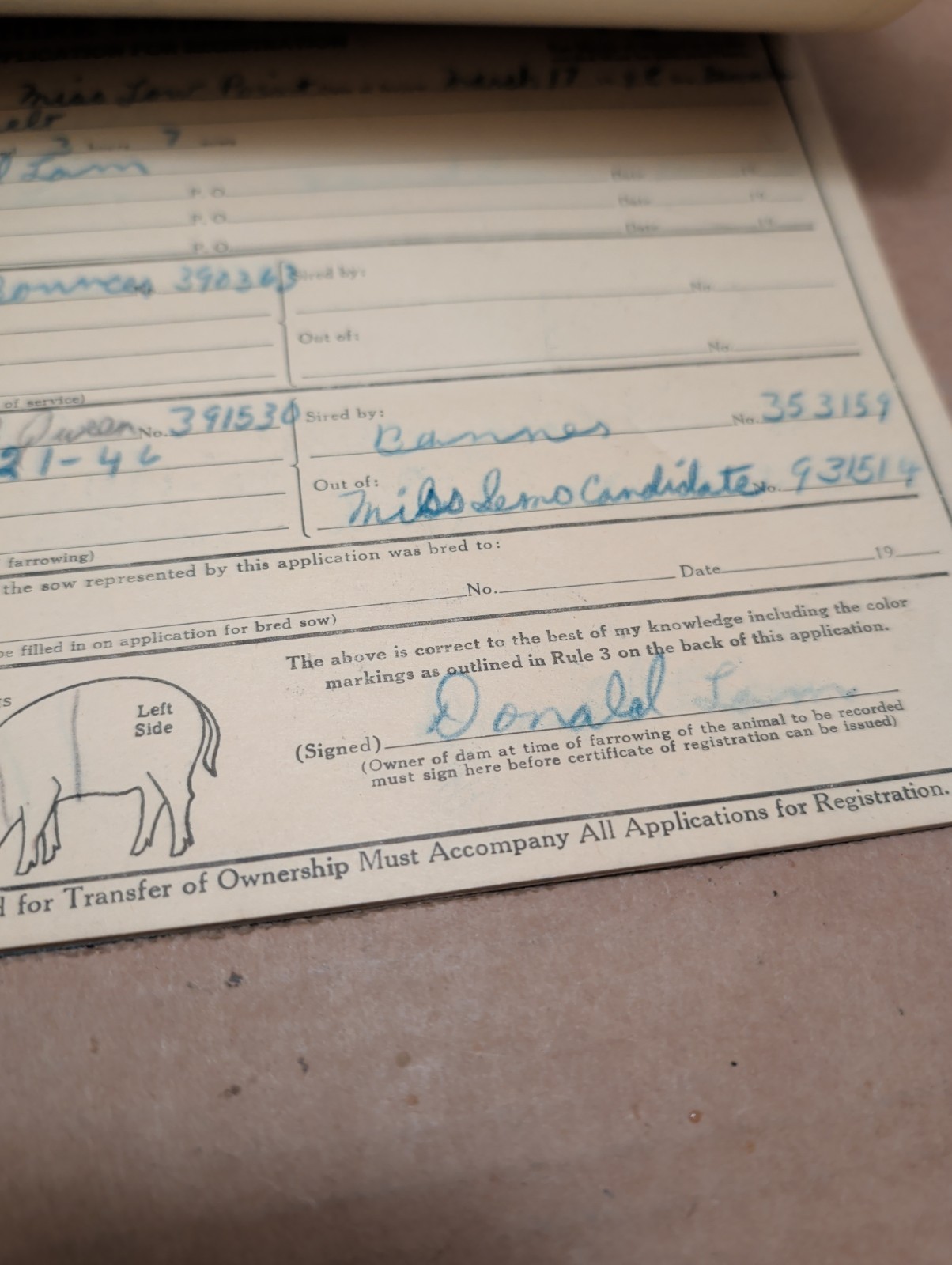 Vintage 1947 1948 Hampshire Swine Registry With Filled In Registars