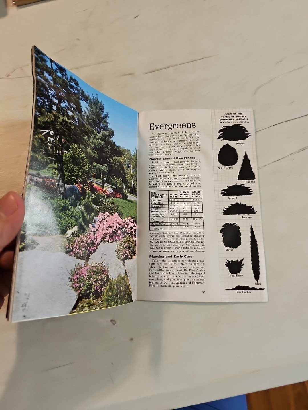 Vintage 1963 Dupont Lawn and Garden Guide. Agricultural Brochure