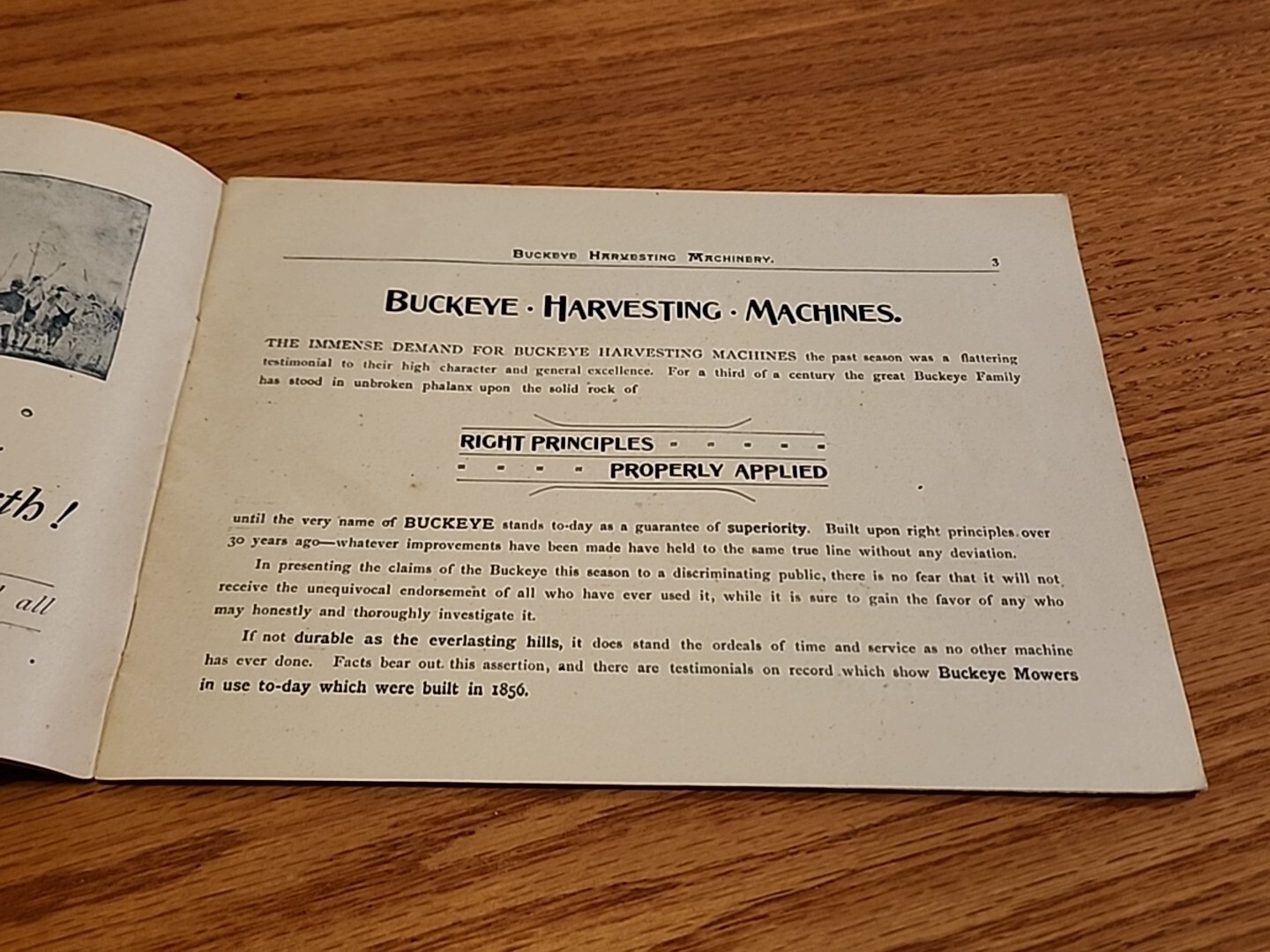 1891 Buckeye Harvesting Machines Aultman Miller Co Catalog Farm Implements
