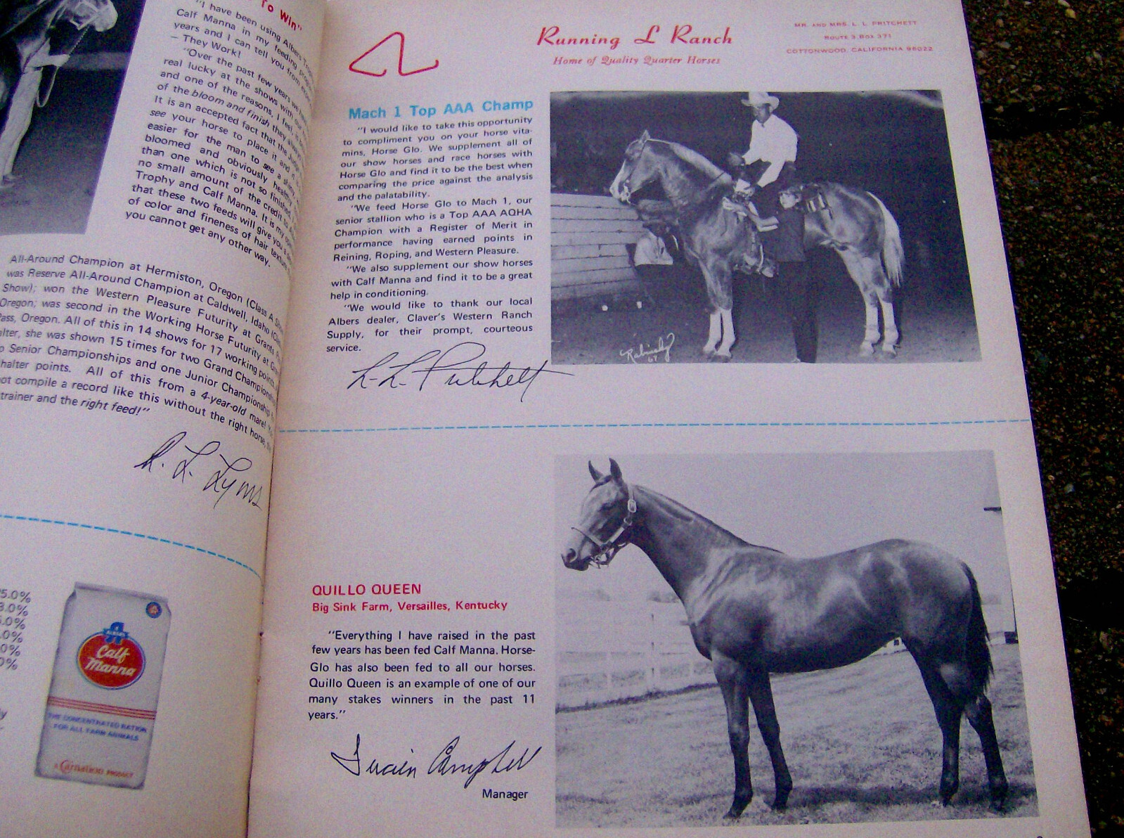 vintage 1969 CARNATION ALBERS Horse food/etc catalog veterinary equestrian farm
