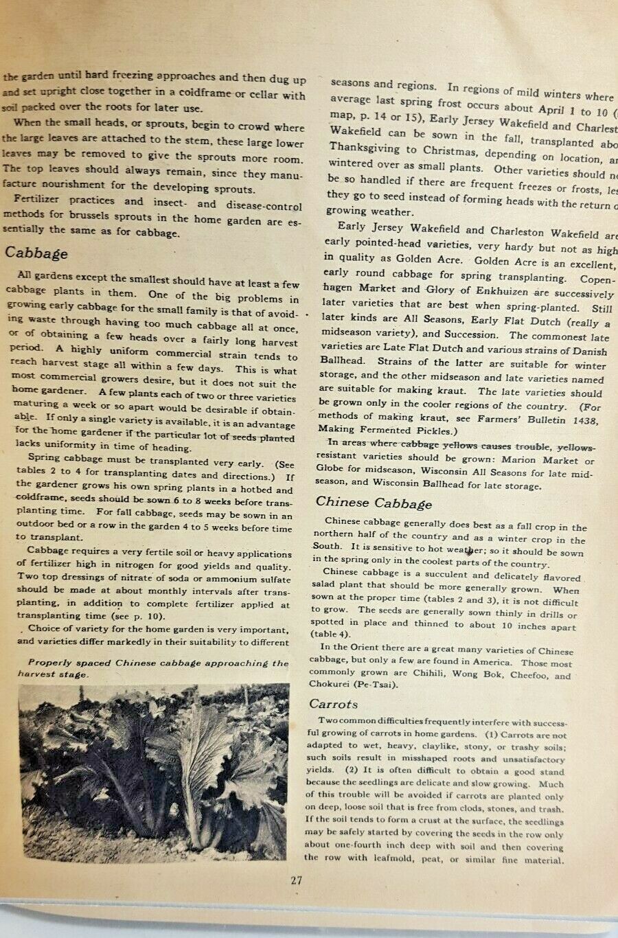 1945 USDA Dept. of Agriculture Growing Vegetables In Town and City