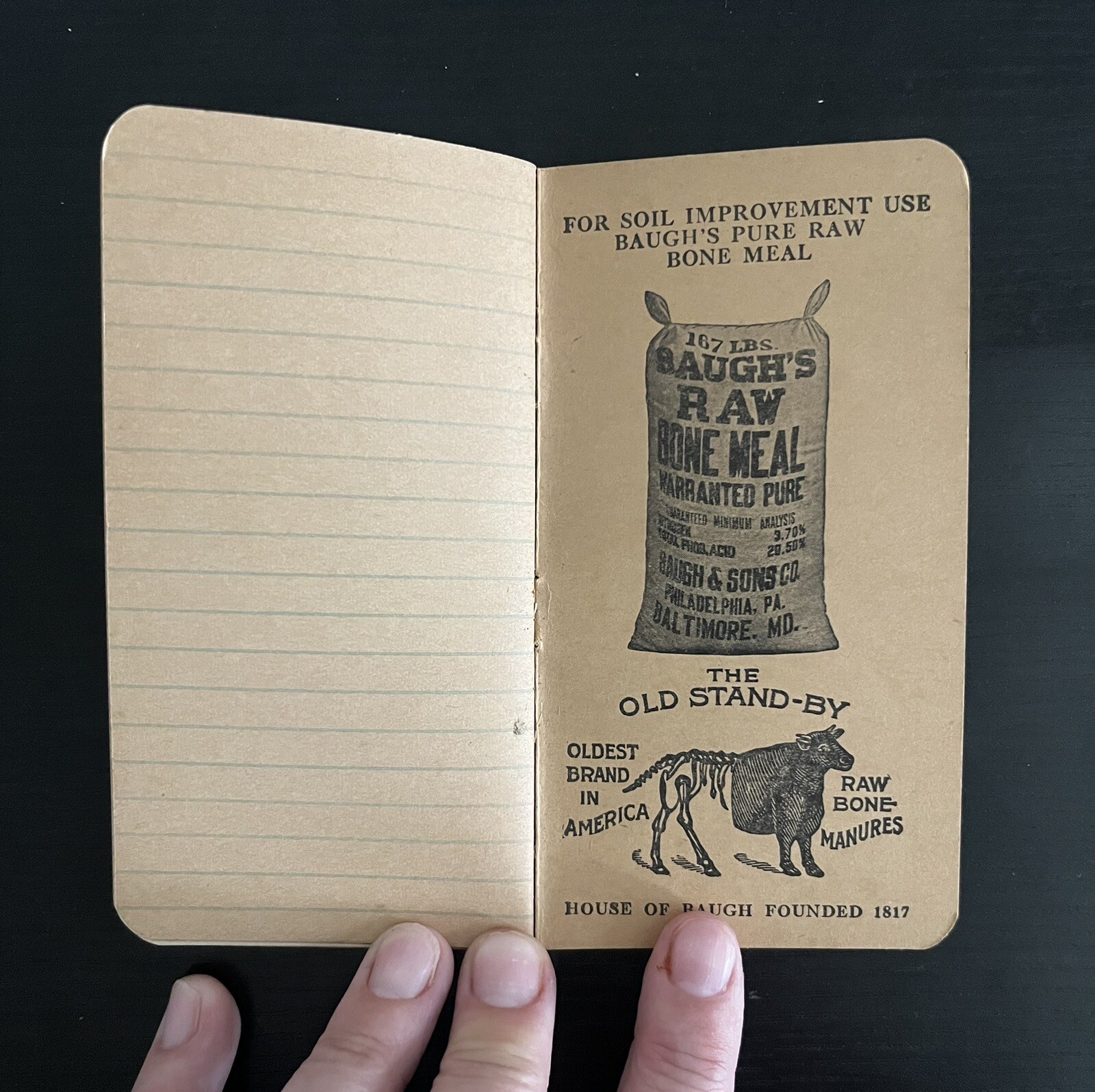 Baugh&rsquo;s Animal Bone Manures Fertilizers Memo Book Vintage Unused Philadelphia