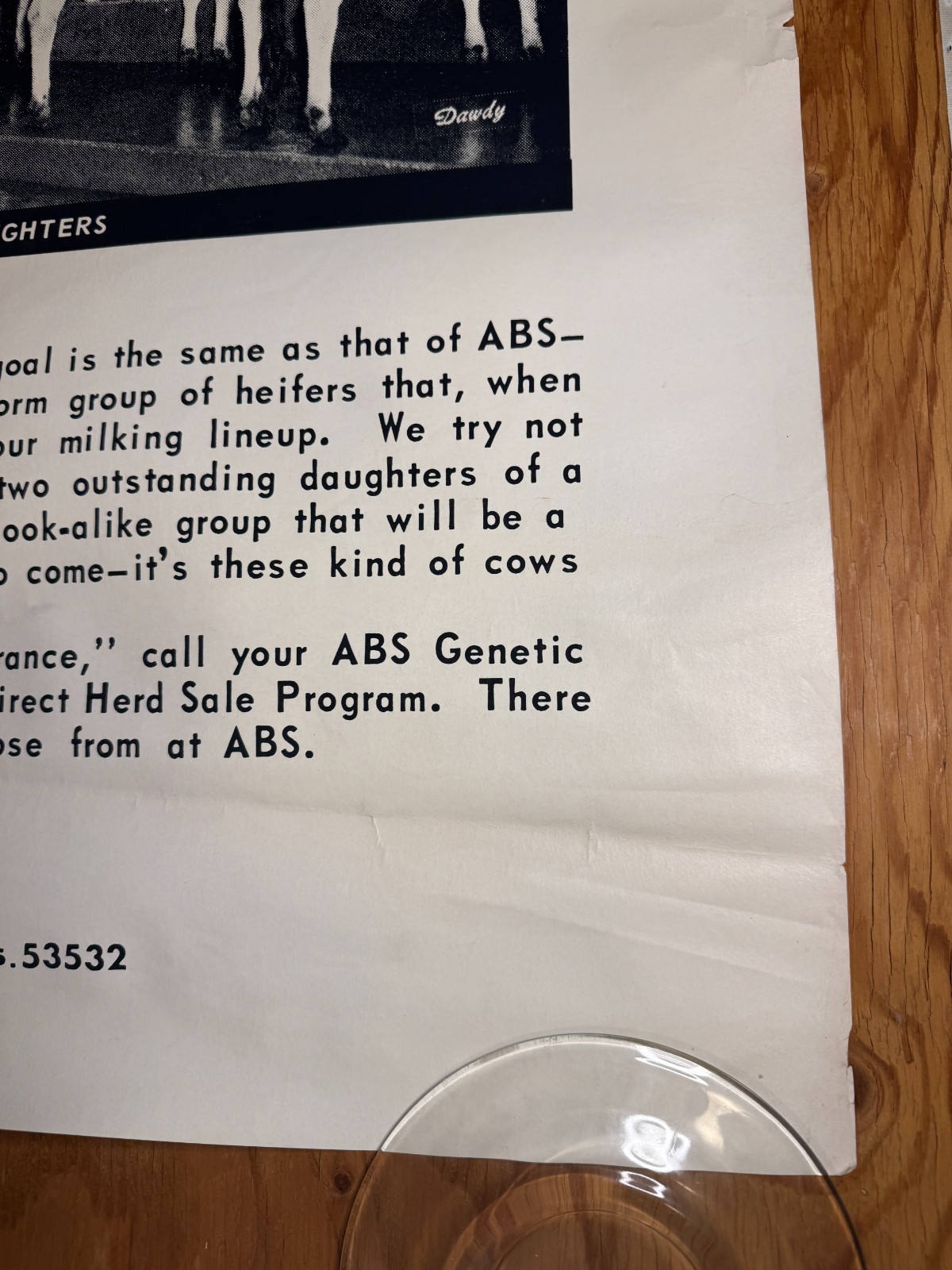 1970 Milk Line Bull Cow Dairy ABS American Breeders Service Advertising Poster