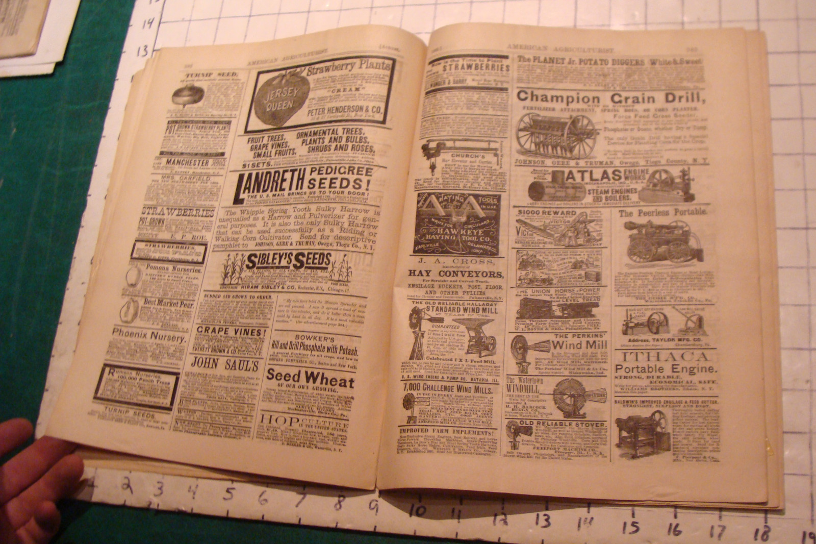 Vintage American Agriculturist 1883 august; great vignettes, horses running