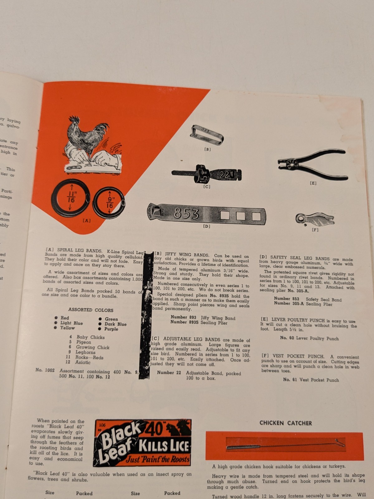 C1940-50s – American Excelsior Corp St Louis Mo Poultry Catalogue – B15