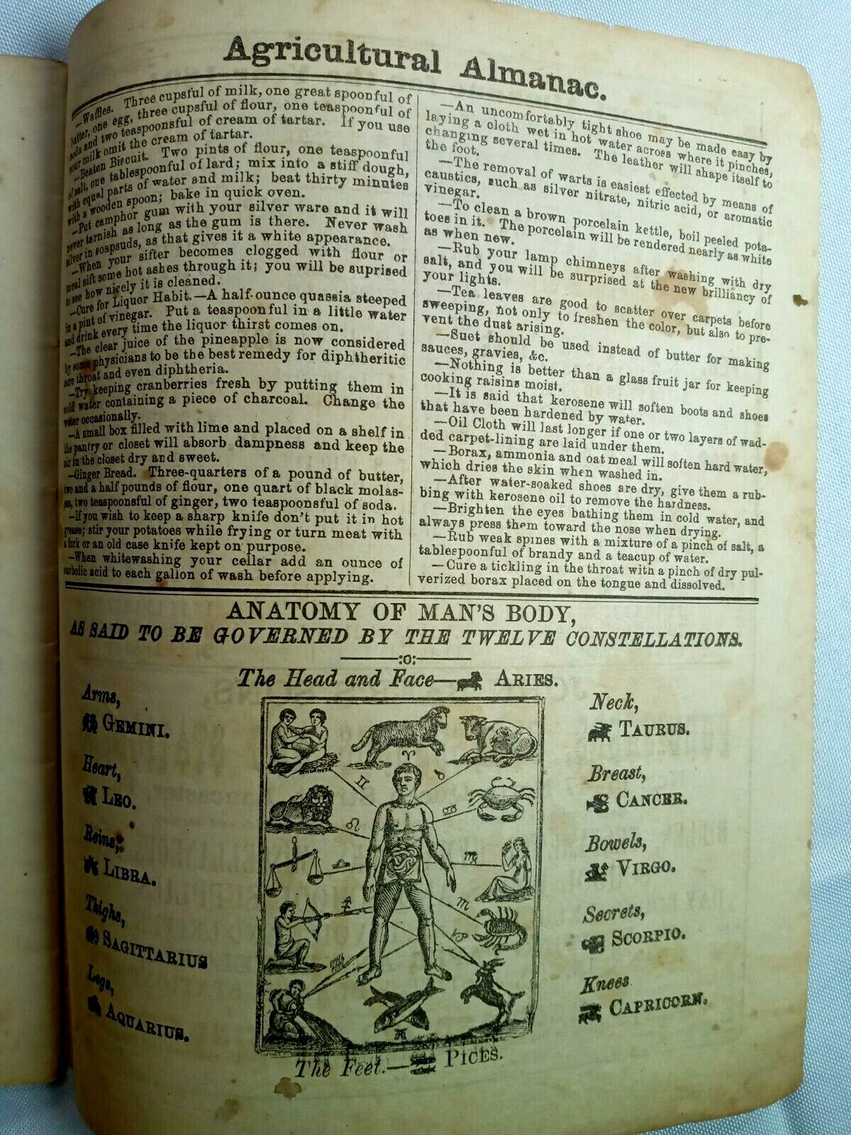 1891 John Bear Baer&rsquo;s Agricultural Almanac Lancaster, PA Antique Farmers Vintage