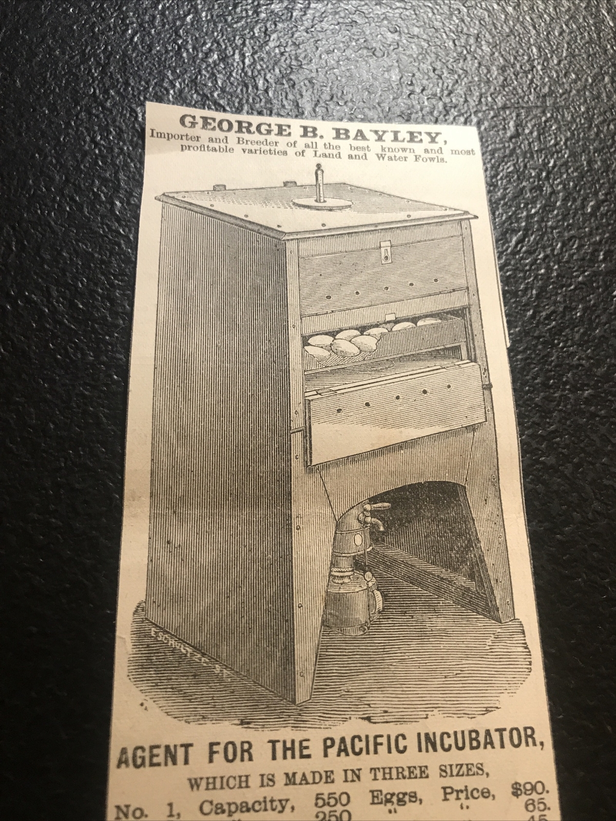 1882 Pacific Egg Incubator Chicken Farm Advertising – San Francisco California