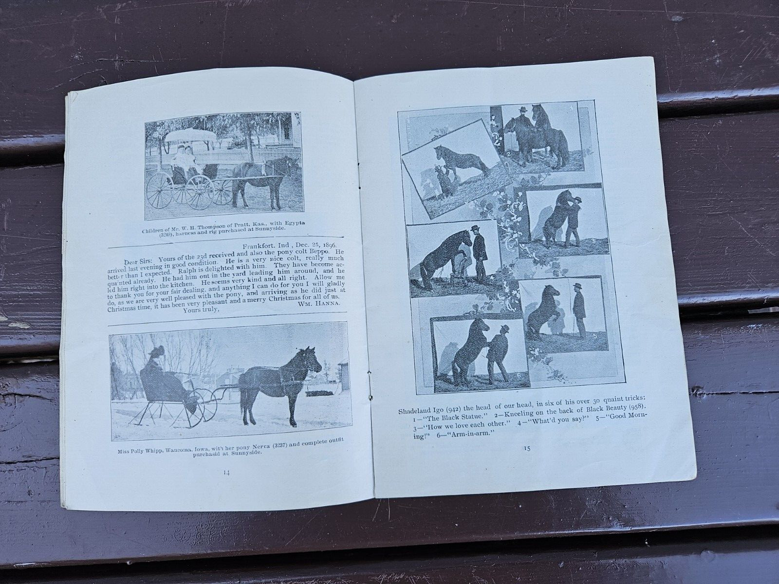 Sunny Side Shetland Pony Farm Catalog & Brochures Monmouth ILL. 1902 +