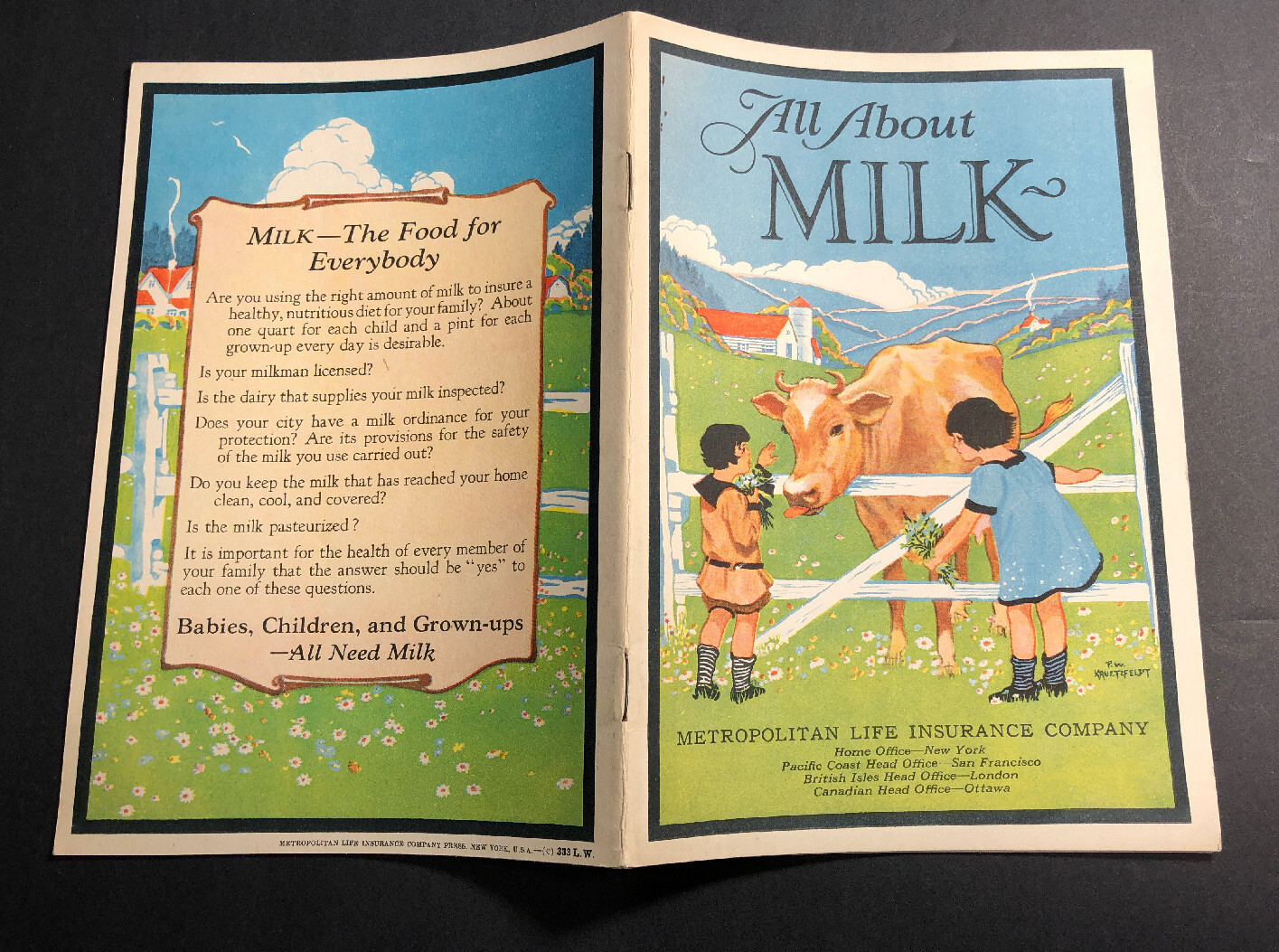 Booklet 1925 All About Milk Cow Farm Kids Agricultural Farming Graphics MINTY