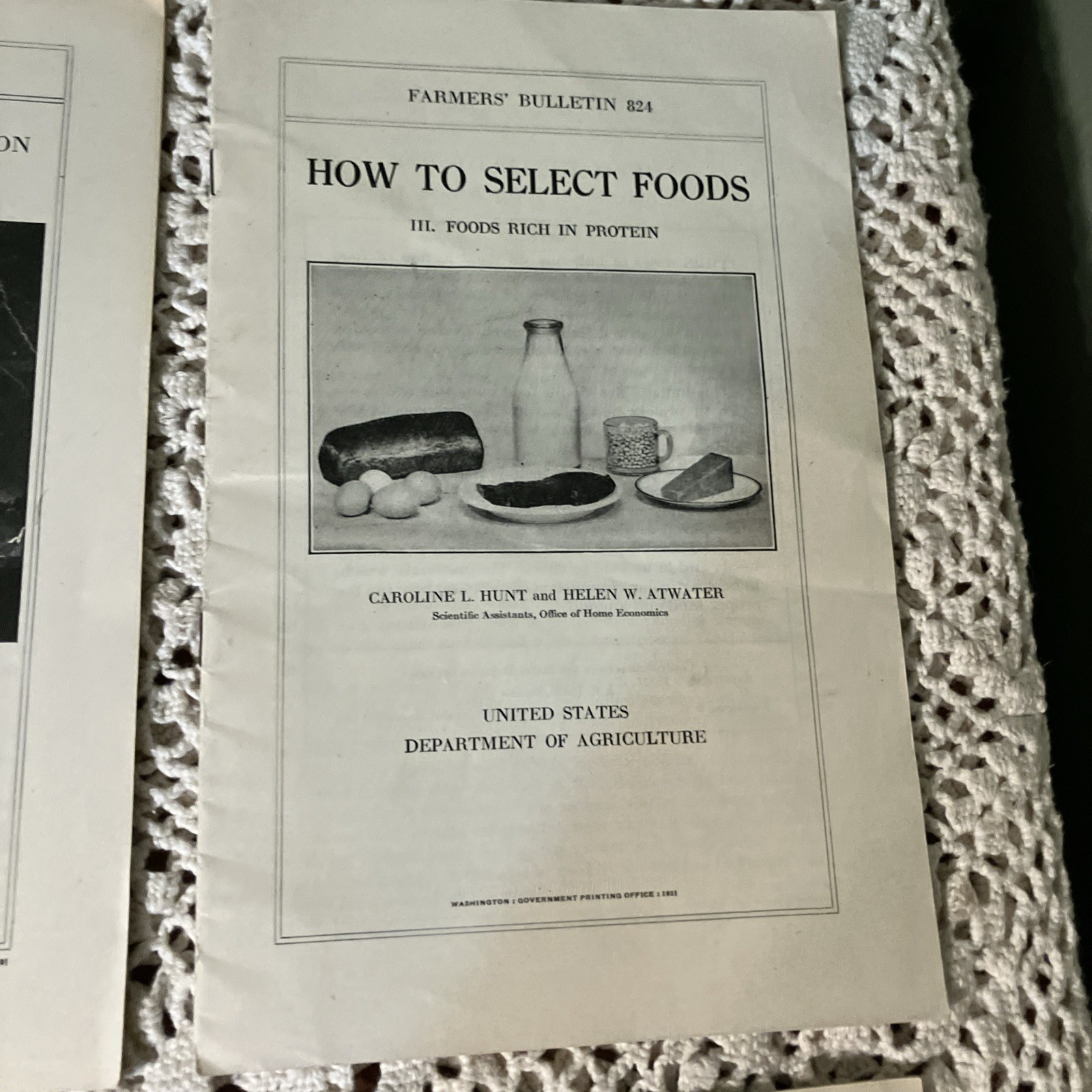 Department of Agriculture Antique 1919 & 20&rsquo;s Bulletin&rsquo;s Pamphlet&rsquo;s Lot 6-B