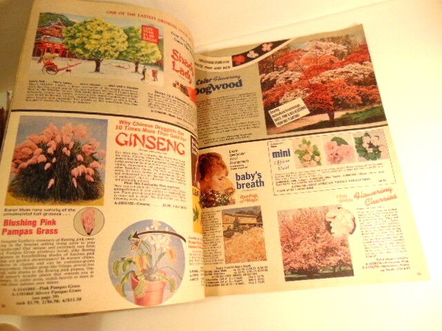 Vintage 1979 Nursery Sales catalog; Lakeland Nursery Sales, Hanover, PA