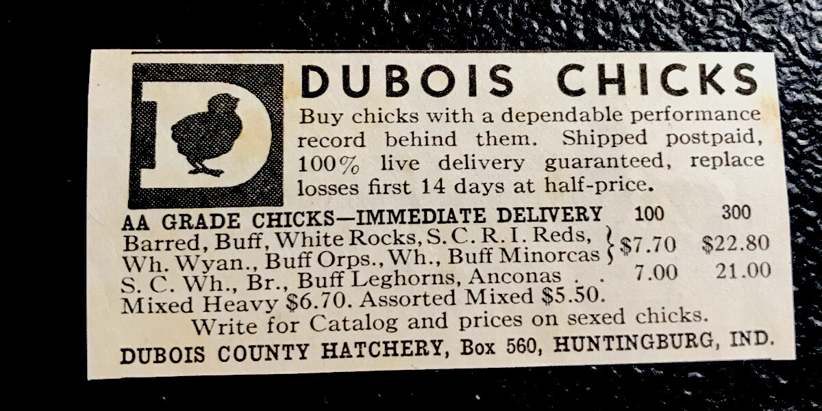 1937 Dubois County Hatchery – Chicken Farm Advertising – Huntingburg – Indiana